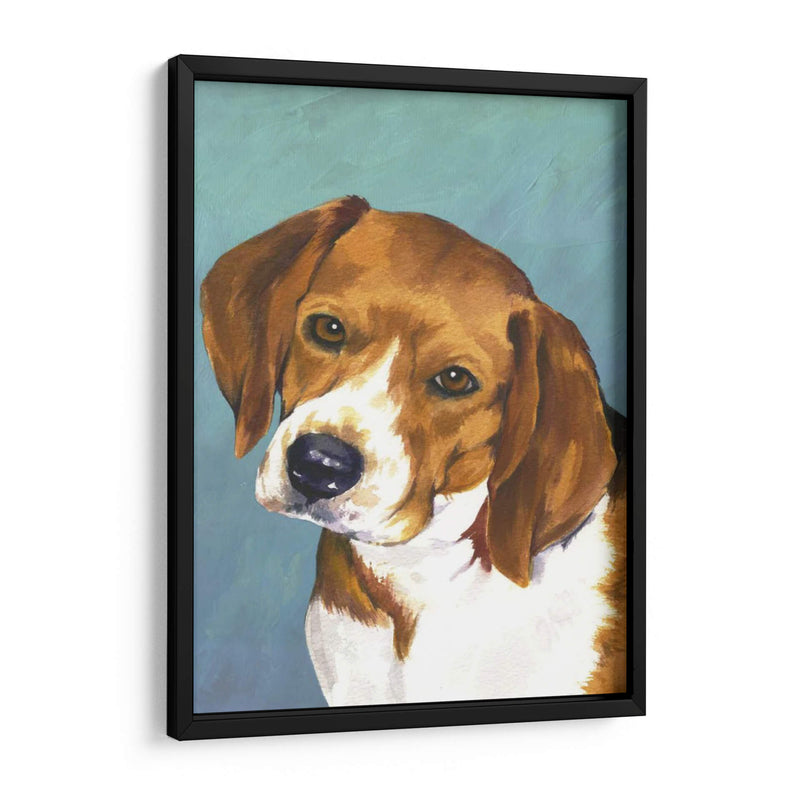 Perro Retrato-Beagle - Jill Sands | Cuadro decorativo de Canvas Lab