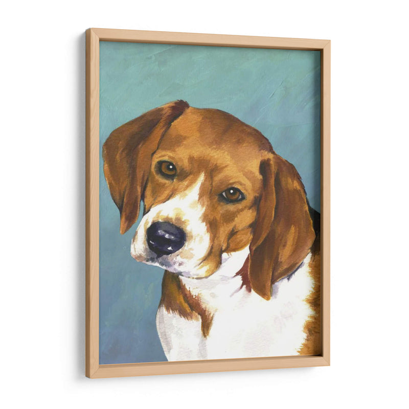 Perro Retrato-Beagle - Jill Sands | Cuadro decorativo de Canvas Lab