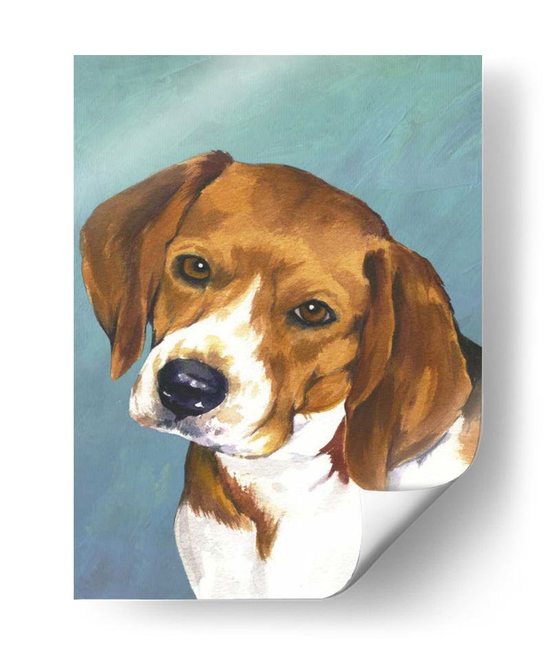 Perro Retrato-Beagle - Jill Sands | Cuadro decorativo de Canvas Lab