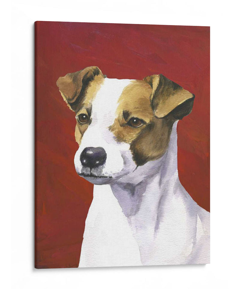 Retrato De Perro-Jack - Jill Sands | Cuadro decorativo de Canvas Lab