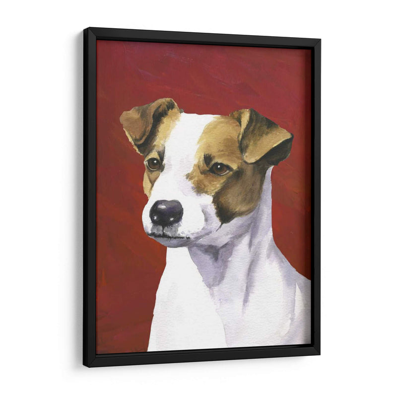 Retrato De Perro-Jack - Jill Sands | Cuadro decorativo de Canvas Lab