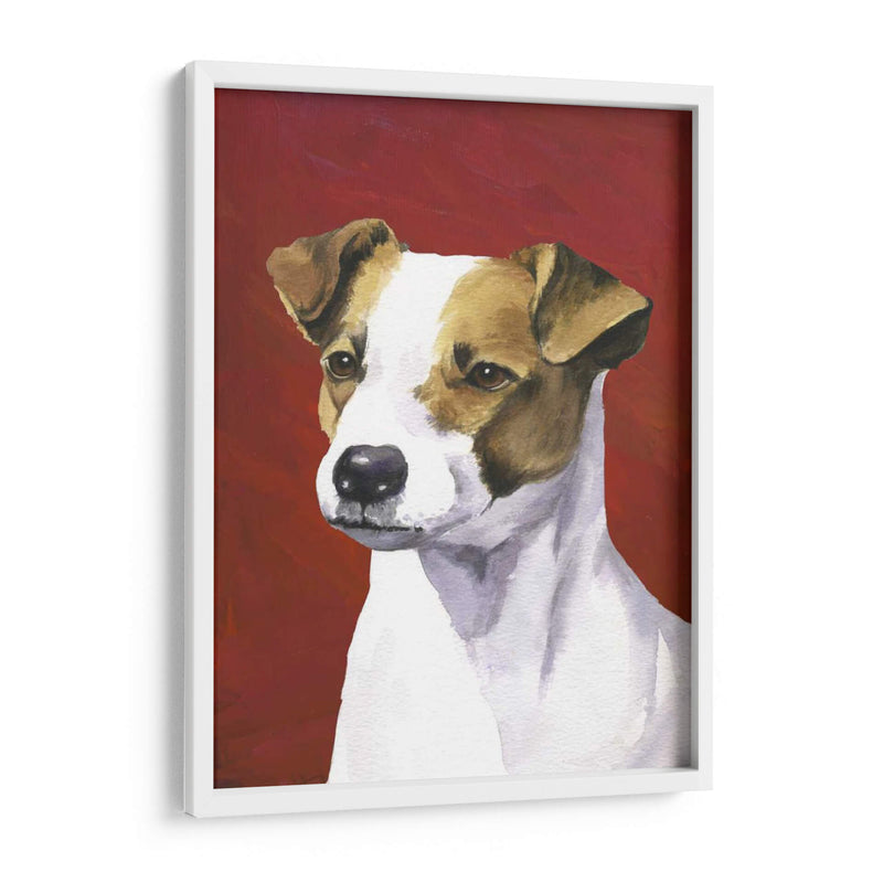 Retrato De Perro-Jack - Jill Sands | Cuadro decorativo de Canvas Lab