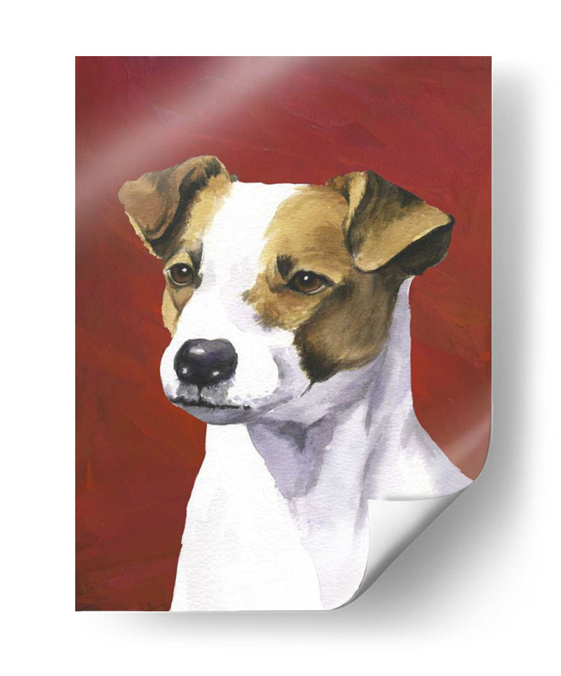 Retrato De Perro-Jack - Jill Sands | Cuadro decorativo de Canvas Lab