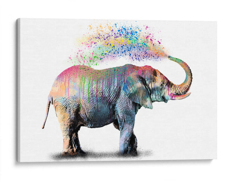 Elephant Color Shower - Hue Art | Cuadro decorativo de Canvas Lab