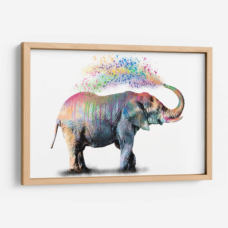 Elephant Color Shower - Hue Art | Cuadro decorativo de Canvas Lab