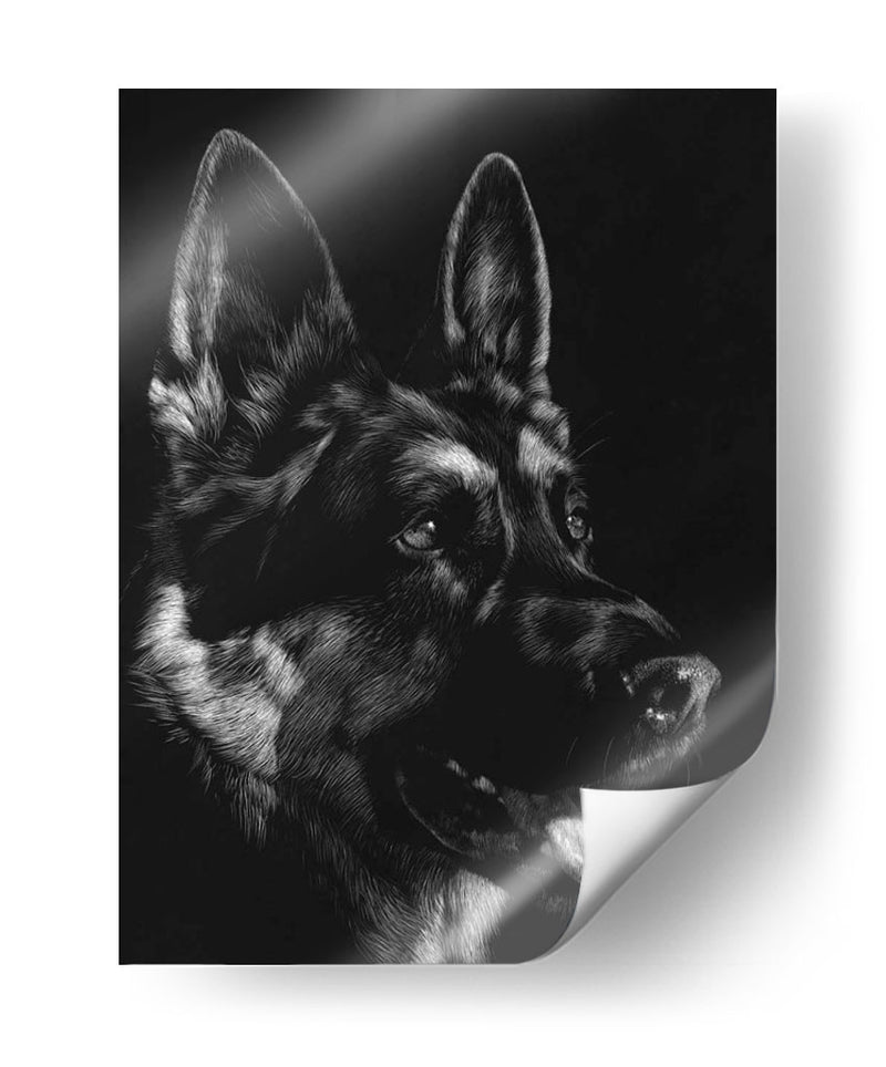 Scratchboard Canino I - Julie T. Chapman | Cuadro decorativo de Canvas Lab