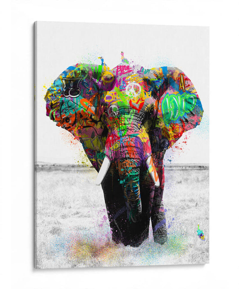 Elefante Graffiti - David Aste | Cuadro decorativo de Canvas Lab