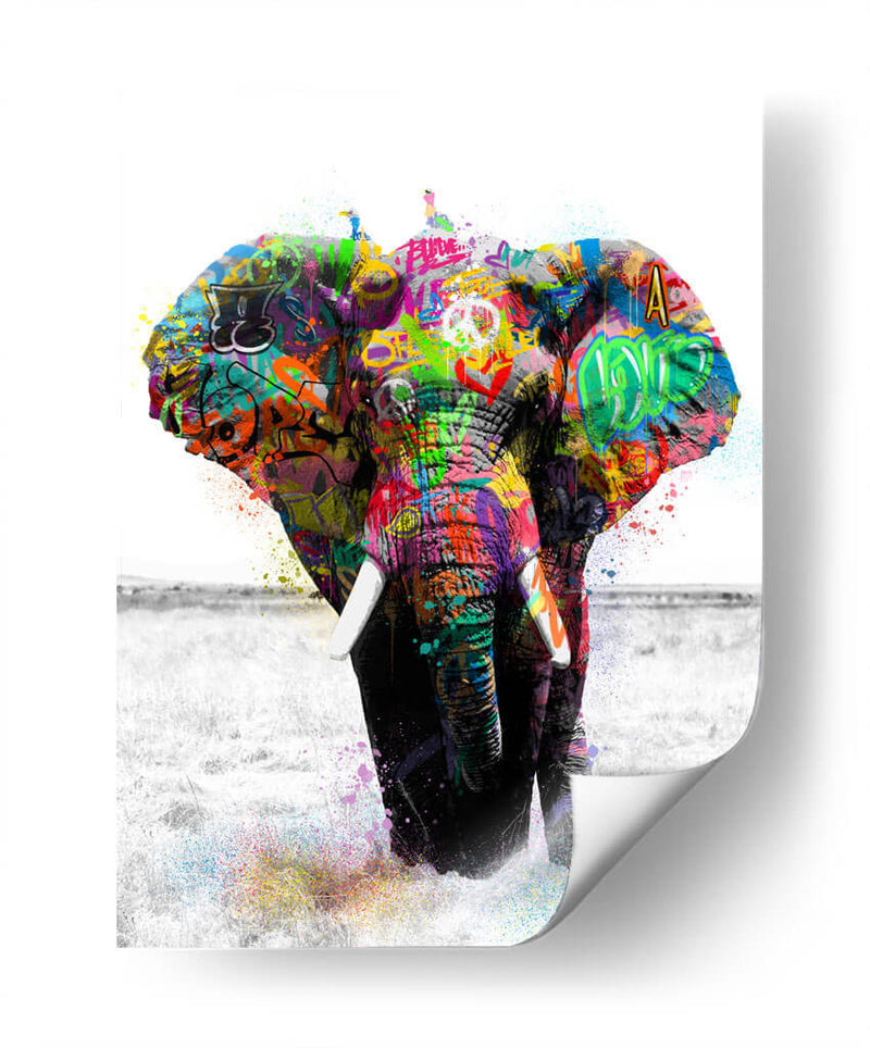 Elefante Graffiti - David Aste | Cuadro decorativo de Canvas Lab