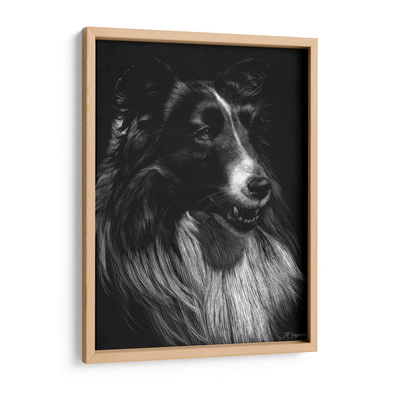 Canino Scratchboard Vii - Julie T. Chapman | Cuadro decorativo de Canvas Lab