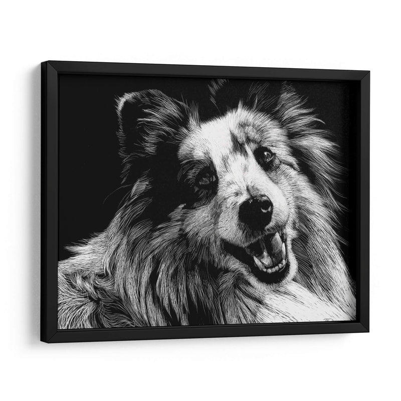 Canino Scratchboard Xxvi - Julie T. Chapman | Cuadro decorativo de Canvas Lab
