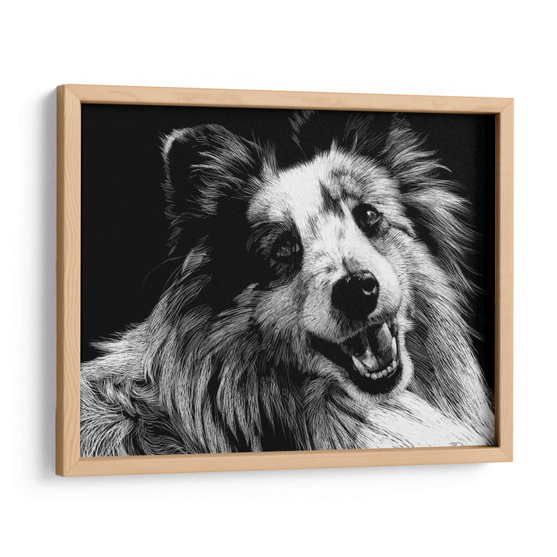 Canino Scratchboard Xxvi - Julie T. Chapman | Cuadro decorativo de Canvas Lab
