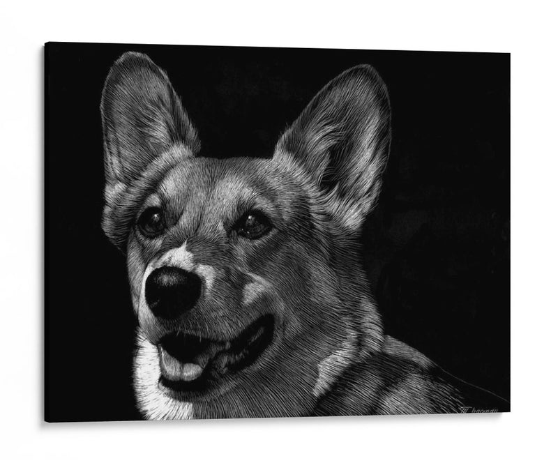 Canino Scratchboard Xxix - Julie T. Chapman | Cuadro decorativo de Canvas Lab