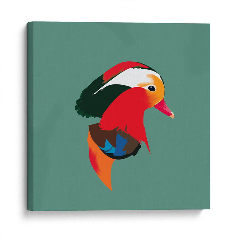 Pato mandarín - Eduardo Hernández | Cuadro decorativo de Canvas Lab