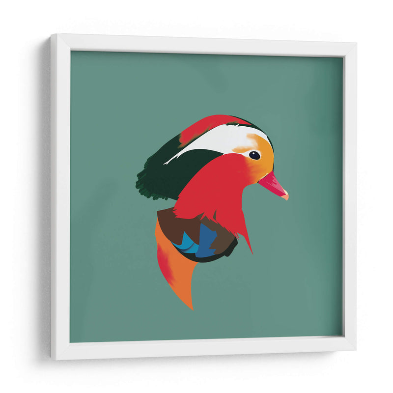Pato mandarín - Eduardo Hernández | Cuadro decorativo de Canvas Lab