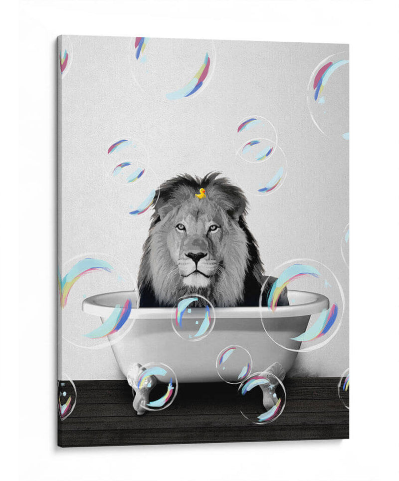 Lion Bath - Animals Daily | Cuadro decorativo de Canvas Lab