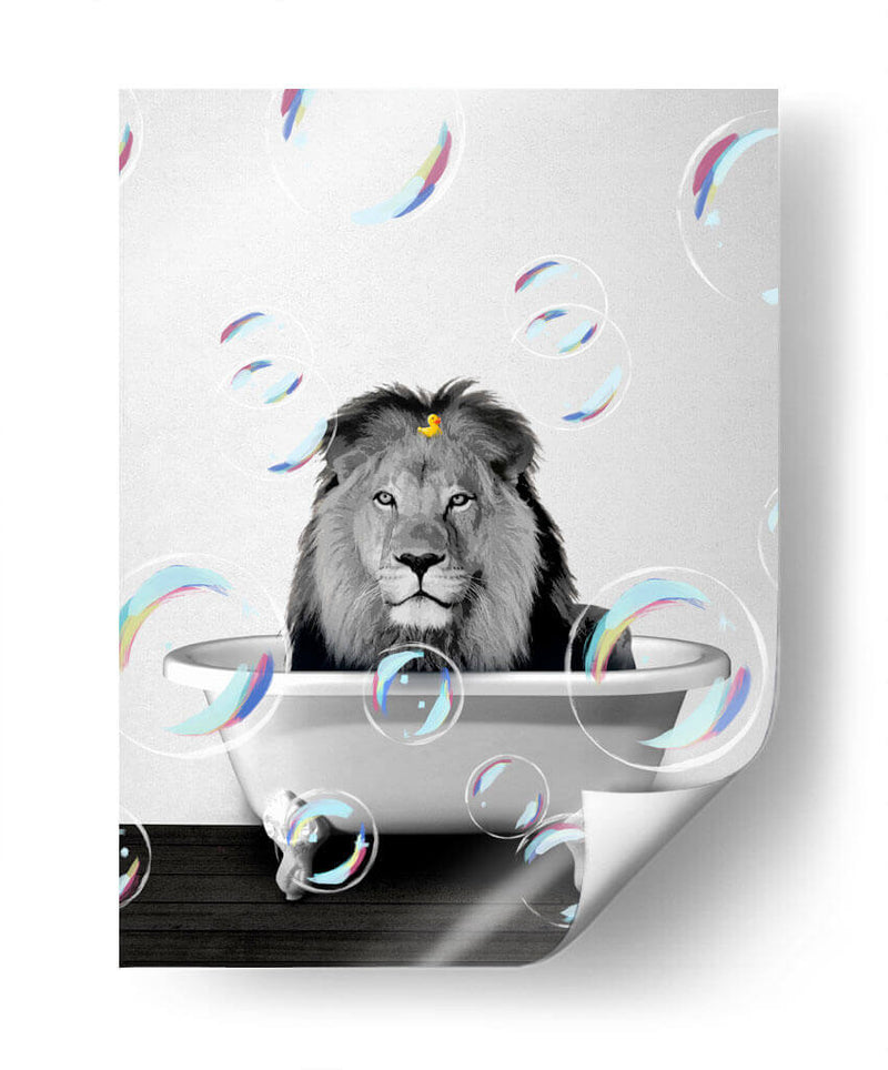 Lion Bath - Animals Daily | Cuadro decorativo de Canvas Lab
