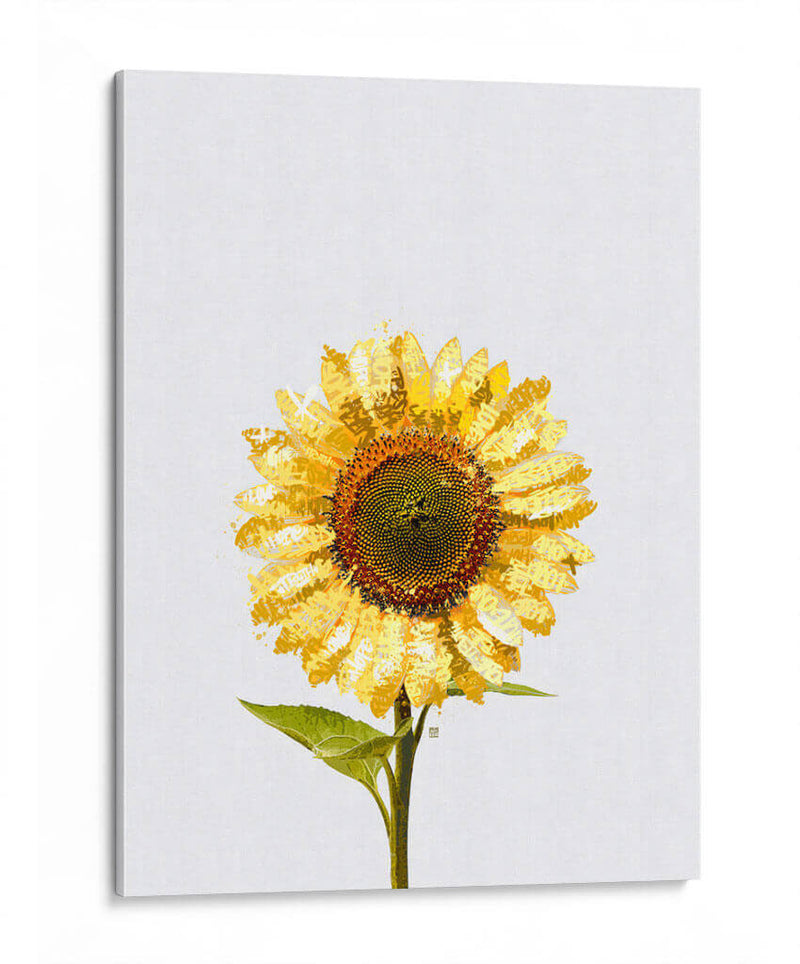 Sunflower Graffiti - David Aste | Cuadro decorativo de Canvas Lab