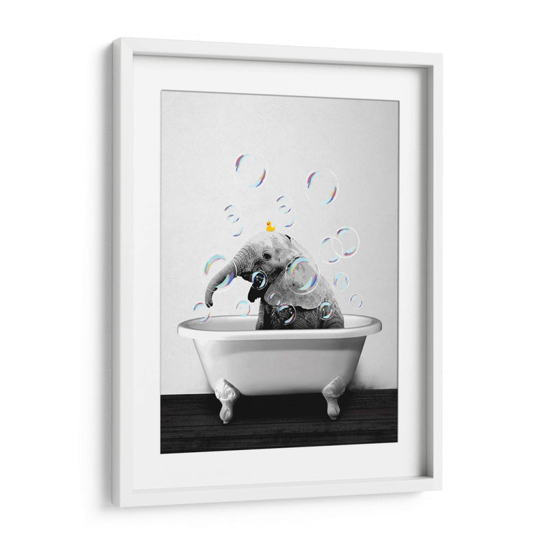 Baby Elephant Bath - Animals Daily | Cuadro decorativo de Canvas Lab