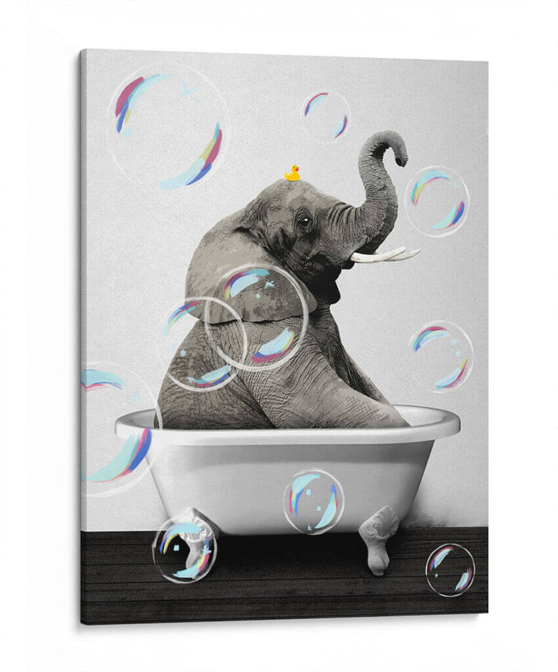 Elephant Bath Color - Animals Daily | Cuadro decorativo de Canvas Lab