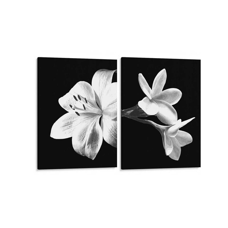 Flores en blanco y negro - Set de 2 - Alemi - Cuadro decorativo | Canvas Lab