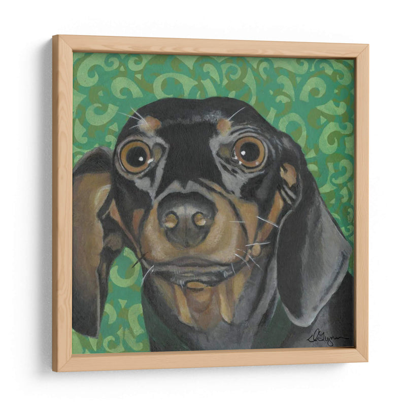 Dogs Dlynns - Keelie - Dlynn Roll | Cuadro decorativo de Canvas Lab