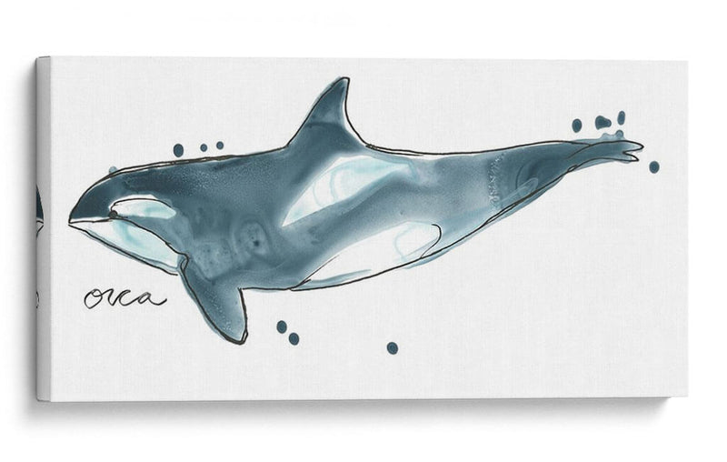 Cetacea Orca Ballena - June Erica Vess | Cuadro decorativo de Canvas Lab