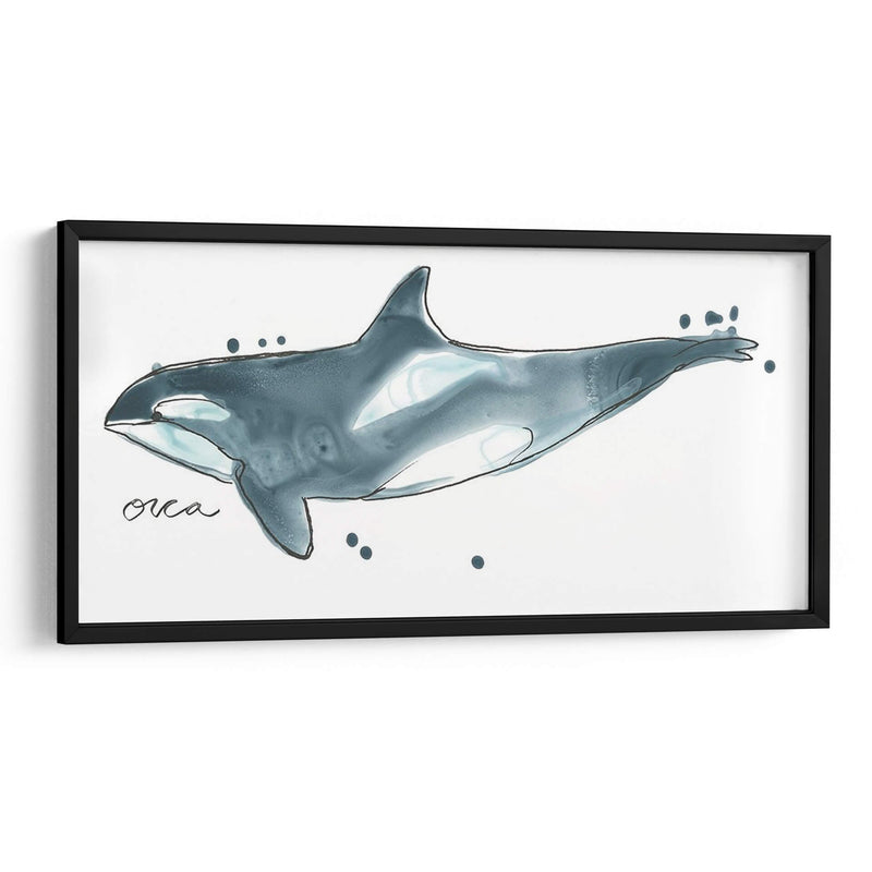 Cetacea Orca Ballena - June Erica Vess | Cuadro decorativo de Canvas Lab