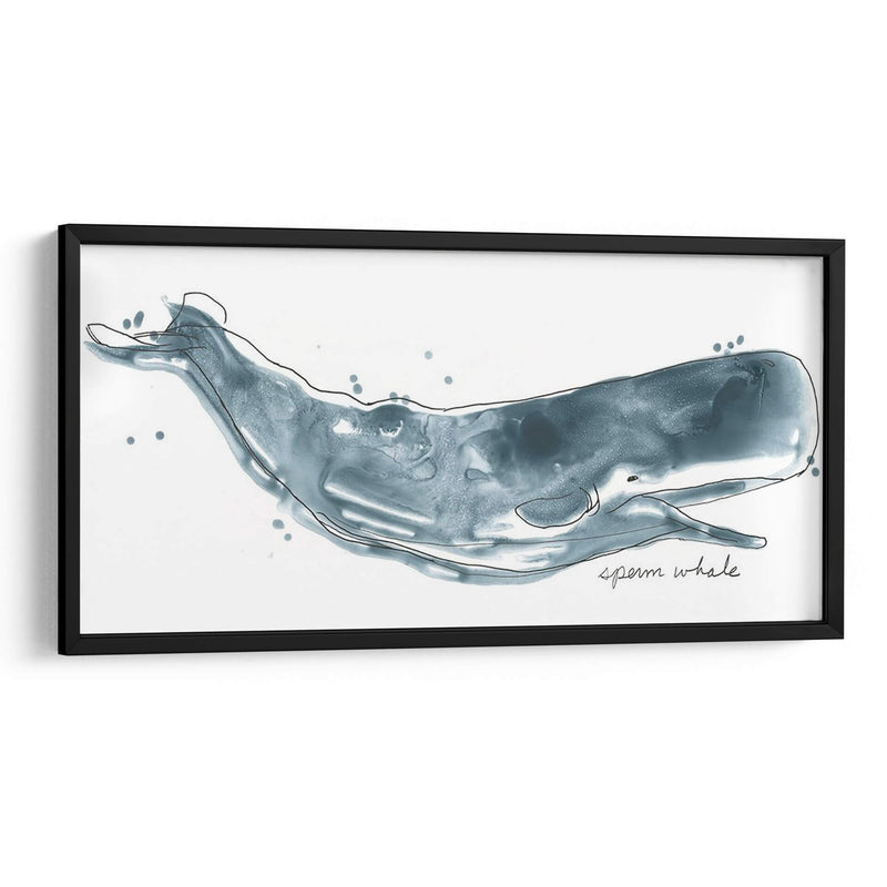 Cetacea Esperma Ballena - June Erica Vess | Cuadro decorativo de Canvas Lab