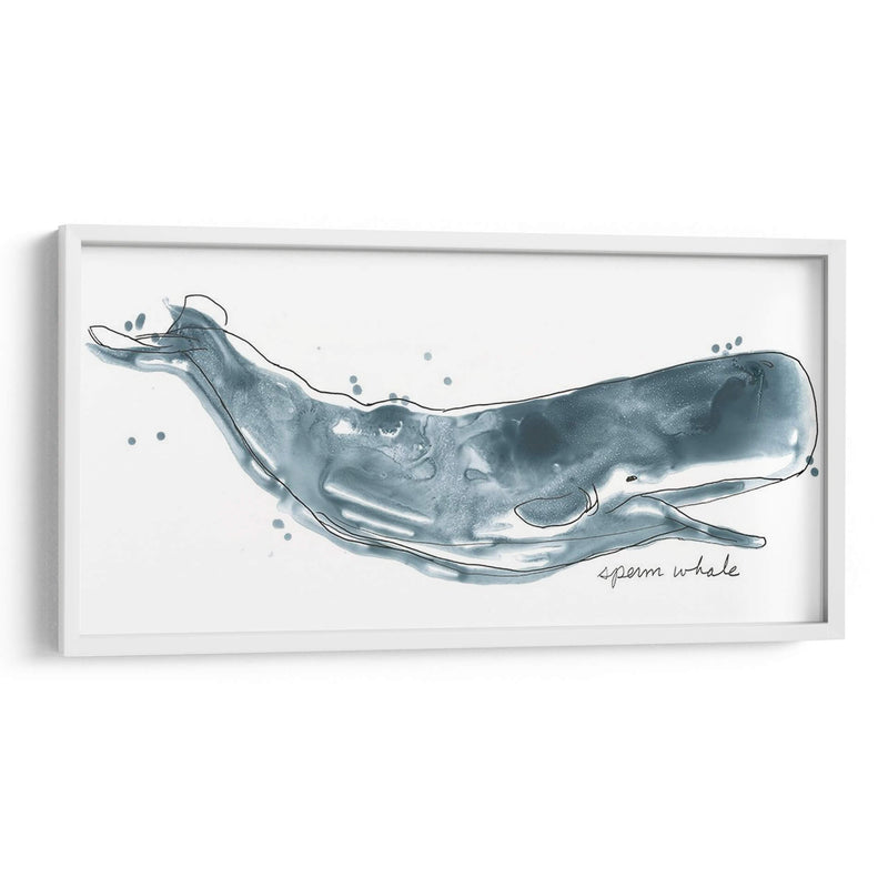 Cetacea Esperma Ballena - June Erica Vess | Cuadro decorativo de Canvas Lab