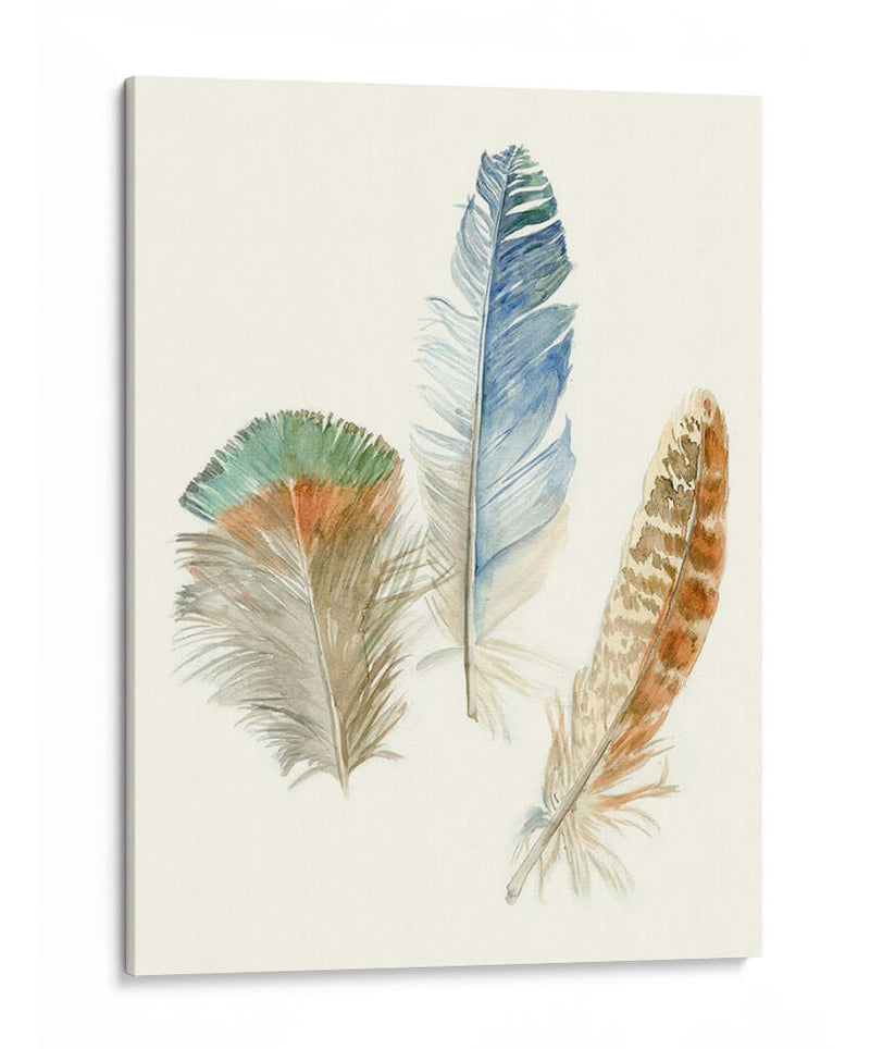 Plumas De Acuarela Iii - Megan Meagher | Cuadro decorativo de Canvas Lab