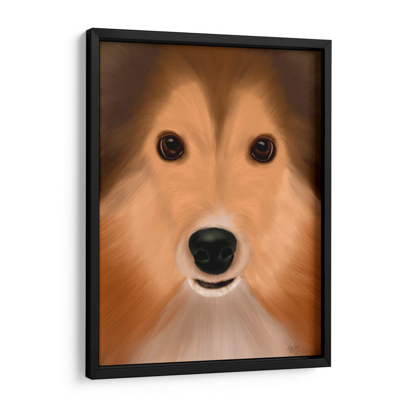 Perro Pastor Shetland Perro Grande - Fab Funky | Cuadro decorativo de Canvas Lab