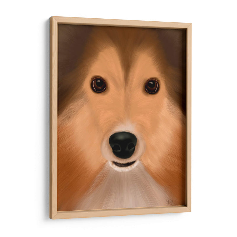 Perro Pastor Shetland Perro Grande - Fab Funky | Cuadro decorativo de Canvas Lab