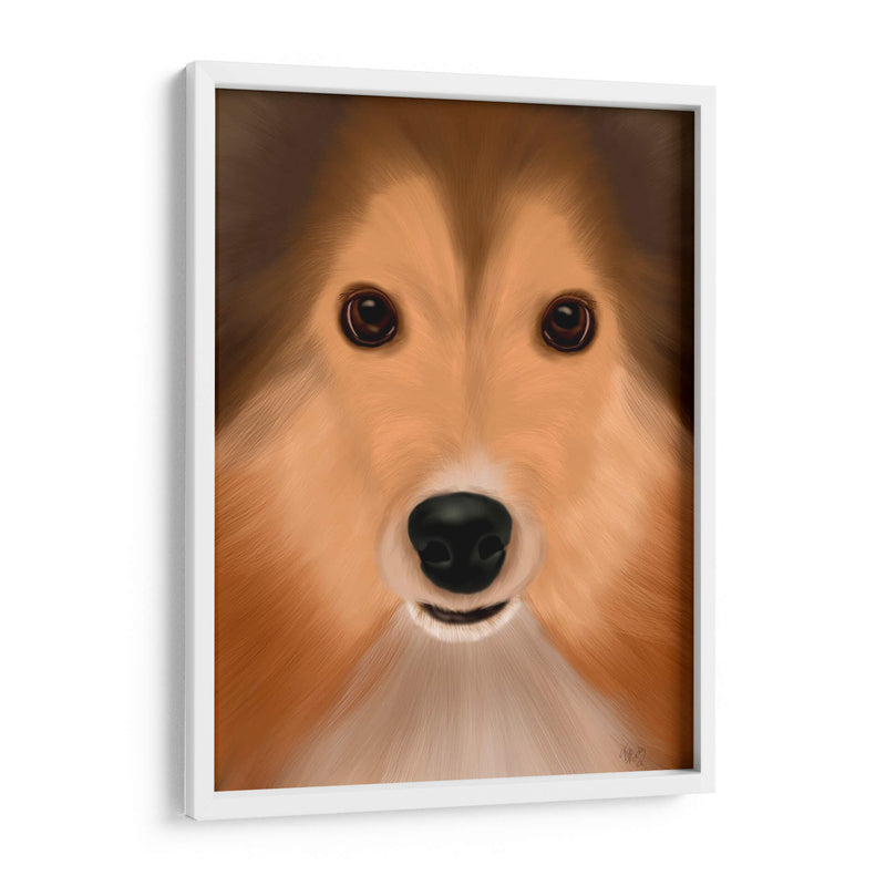 Perro Pastor Shetland Perro Grande - Fab Funky | Cuadro decorativo de Canvas Lab