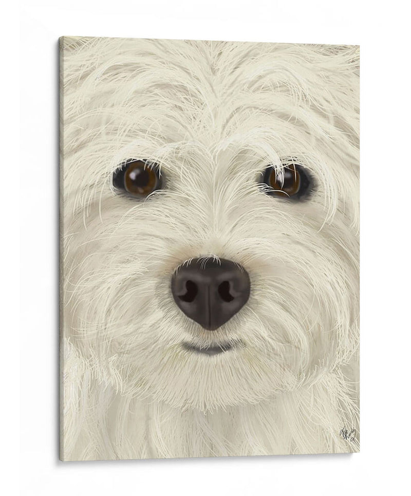 Westie Big Dog - Fab Funky | Cuadro decorativo de Canvas Lab