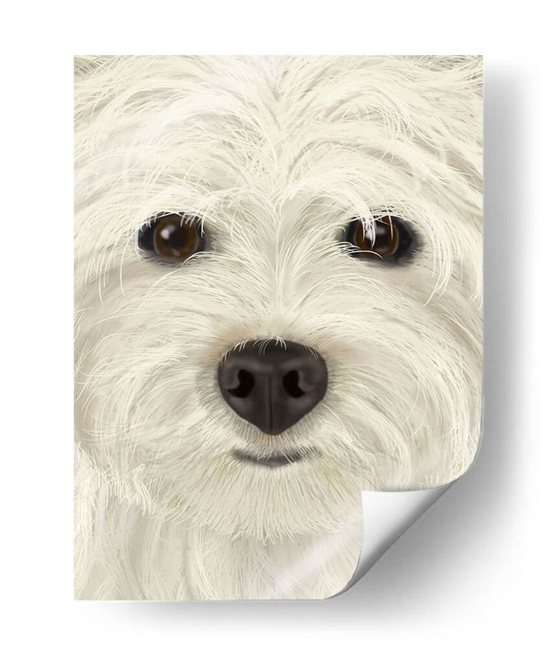 Westie Big Dog - Fab Funky | Cuadro decorativo de Canvas Lab