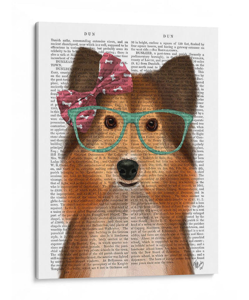 Sheepdog Shetland Con Arco Rosa - Fab Funky | Cuadro decorativo de Canvas Lab