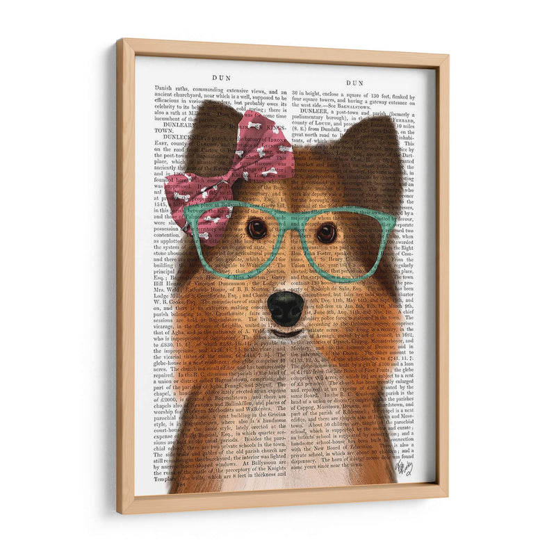 Sheepdog Shetland Con Arco Rosa - Fab Funky | Cuadro decorativo de Canvas Lab