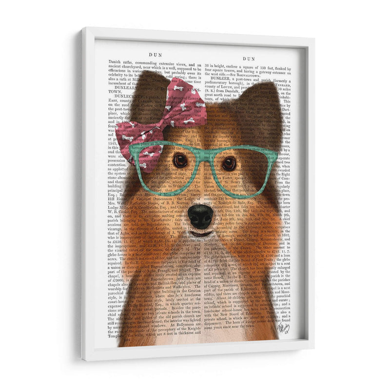 Sheepdog Shetland Con Arco Rosa - Fab Funky | Cuadro decorativo de Canvas Lab