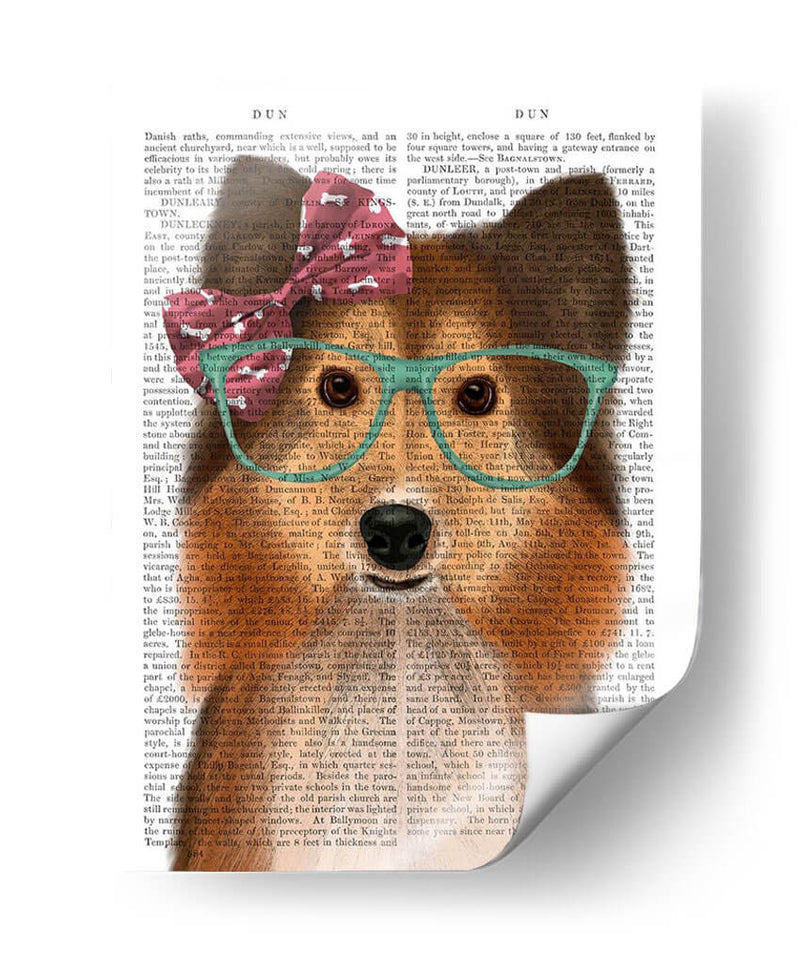 Sheepdog Shetland Con Arco Rosa - Fab Funky | Cuadro decorativo de Canvas Lab