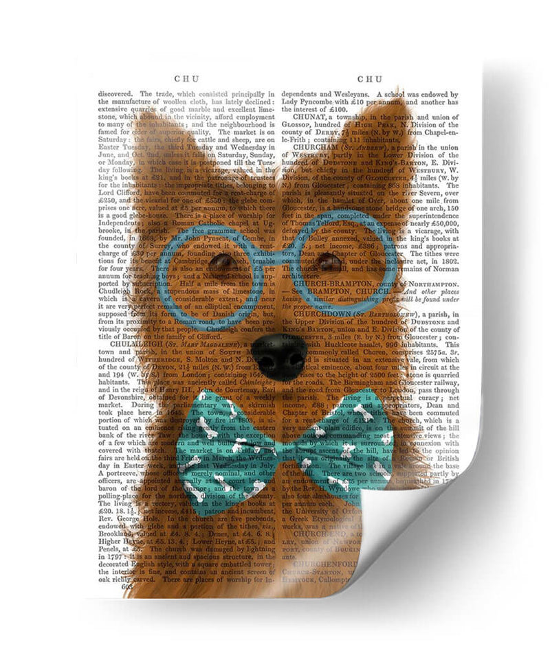 Yorkshire Terrier Con Gafas Y Pajarita. - Fab Funky | Cuadro decorativo de Canvas Lab