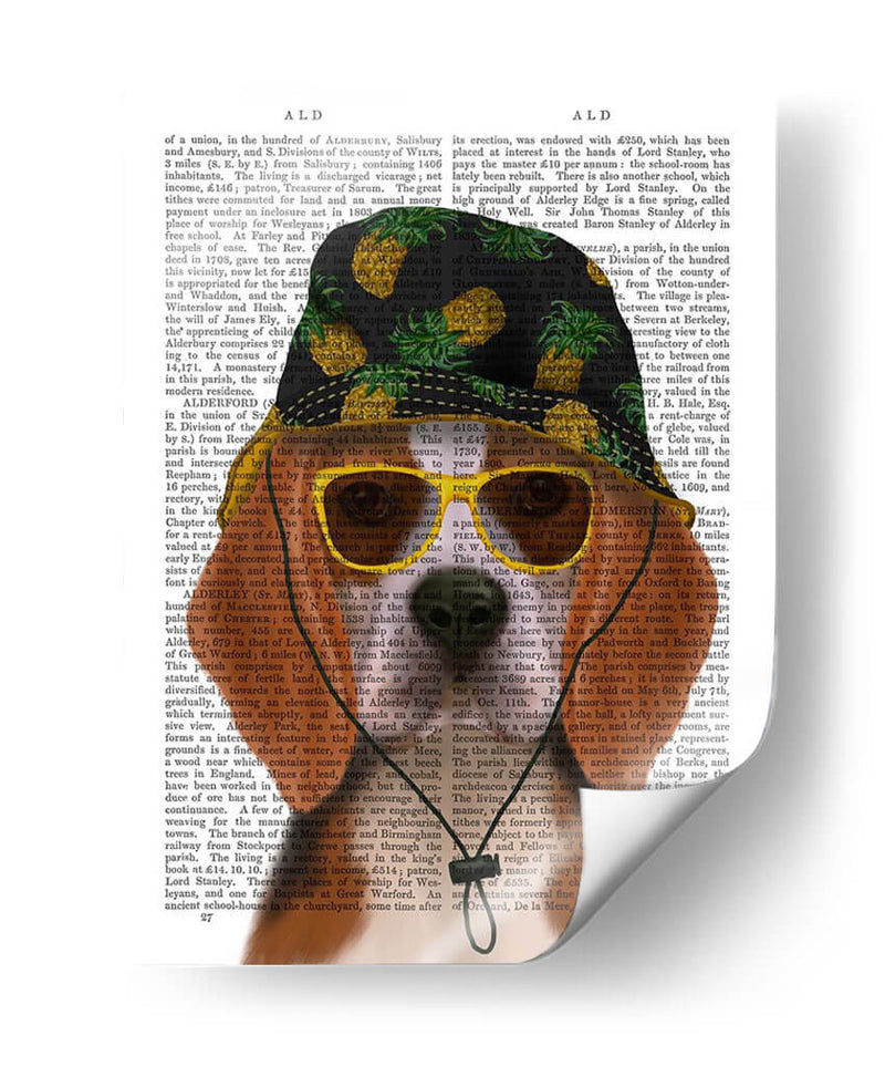 Sombrero De Beagle Y Cubo - Fab Funky | Cuadro decorativo de Canvas Lab