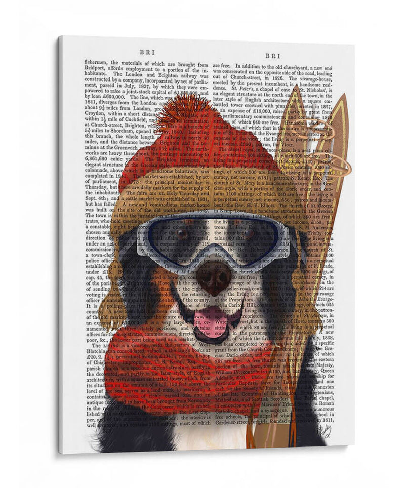 Perro De Esquí Berneo - Fab Funky | Cuadro decorativo de Canvas Lab