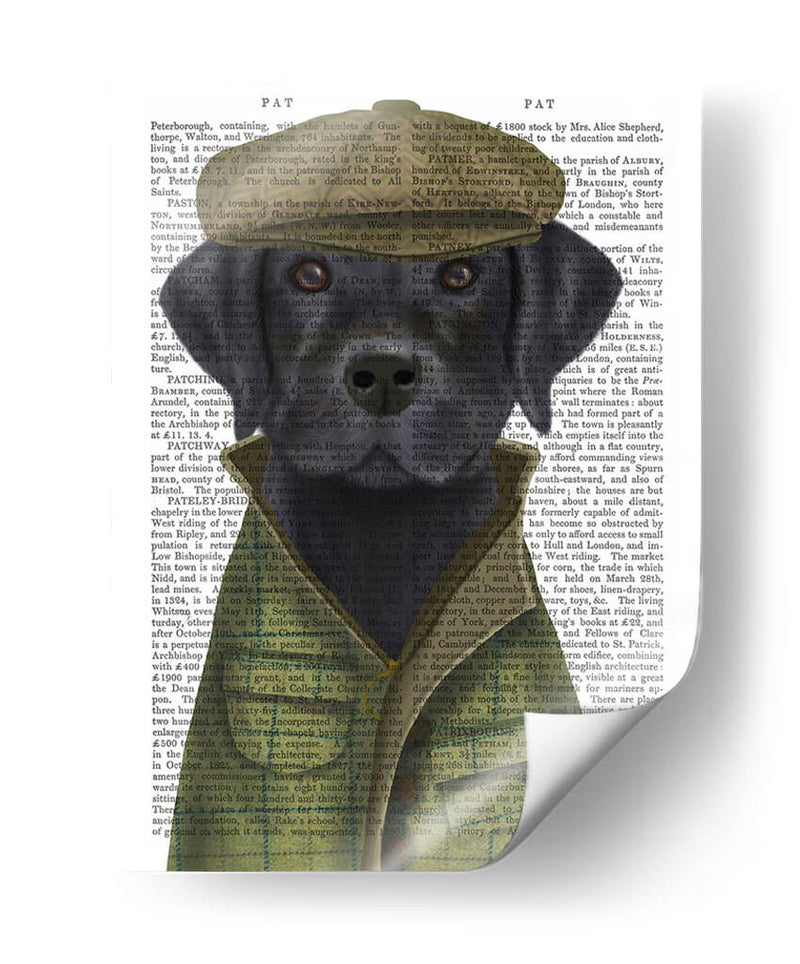 Perro De Campo Labrador Negro - Fab Funky | Cuadro decorativo de Canvas Lab