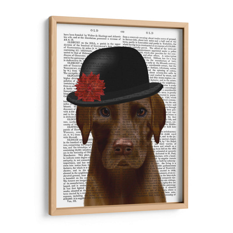 Chocolate Labrador Y Bowler - Fab Funky | Cuadro decorativo de Canvas Lab