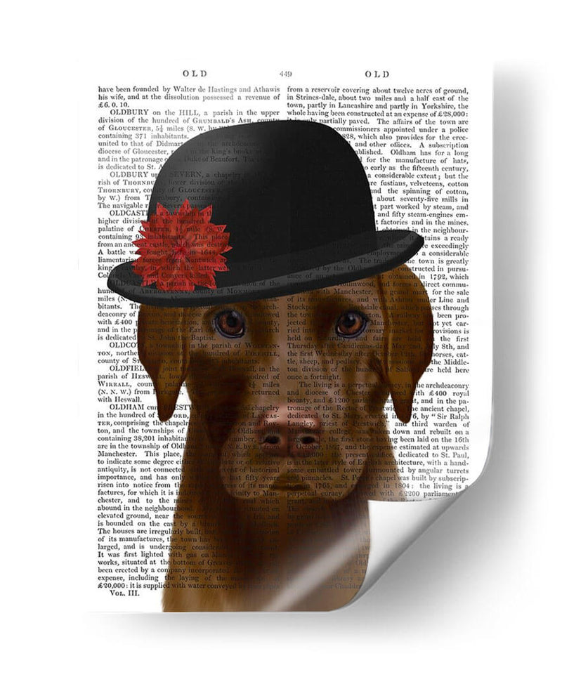 Chocolate Labrador Y Bowler - Fab Funky | Cuadro decorativo de Canvas Lab