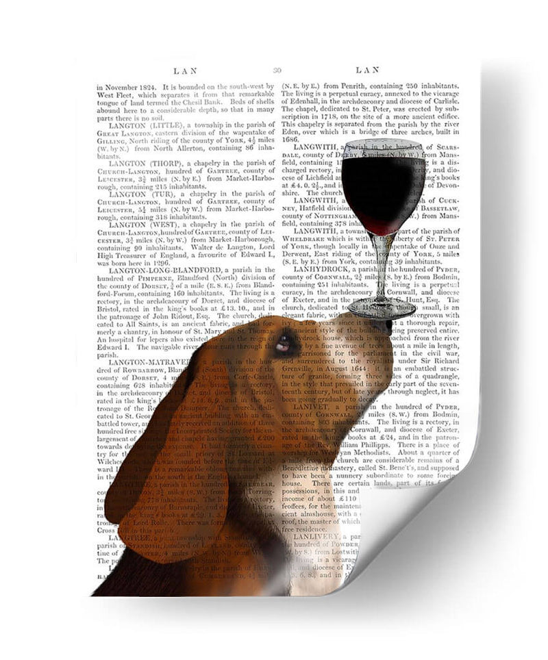 Perro Au Vin, Basset Hound - Fab Funky | Cuadro decorativo de Canvas Lab