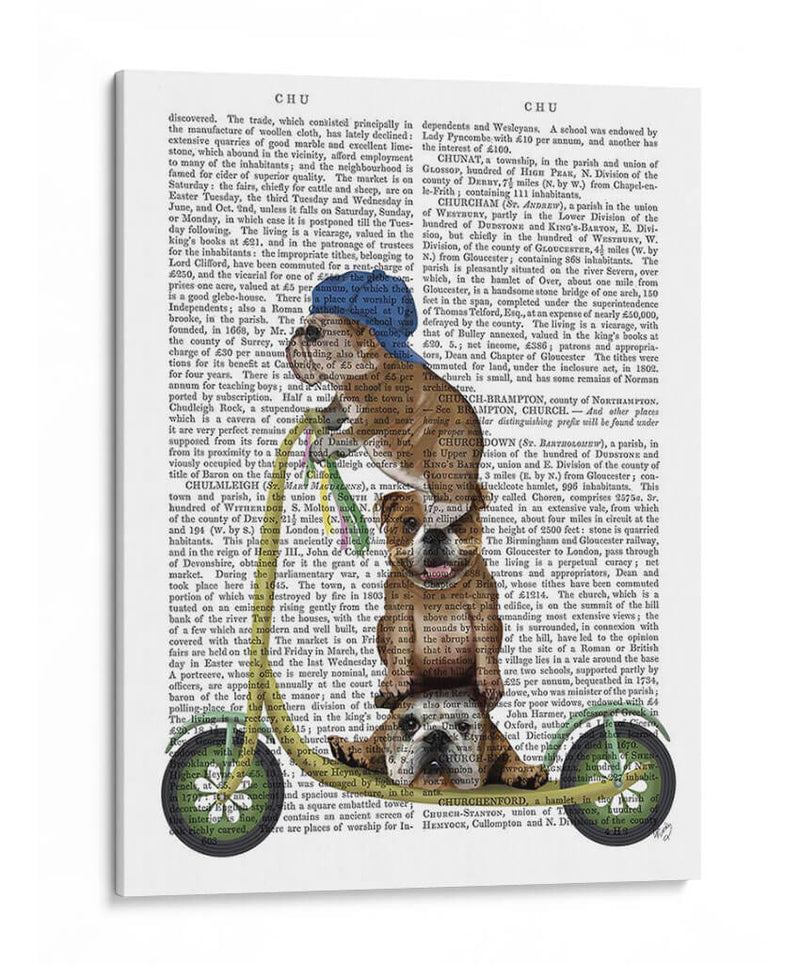 Scooter De Bulldog Inglés - Fab Funky | Cuadro decorativo de Canvas Lab