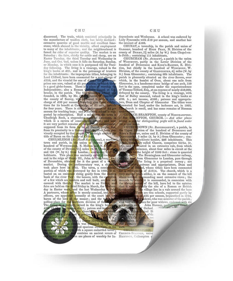 Scooter De Bulldog Inglés - Fab Funky | Cuadro decorativo de Canvas Lab