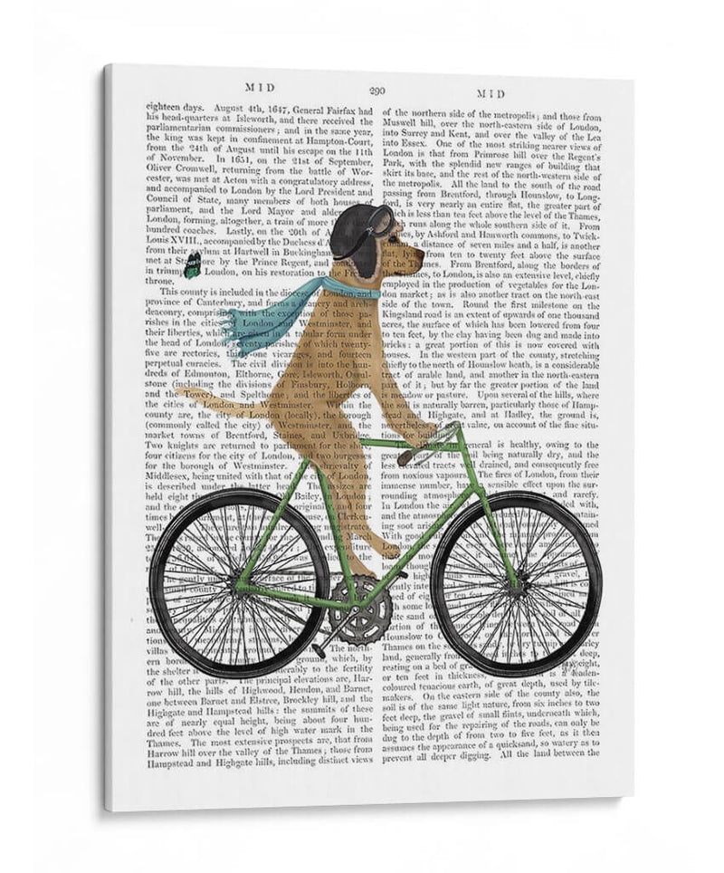 Labrador Amarillo En Casco Volador En La Bicicleta - Fab Funky | Cuadro decorativo de Canvas Lab