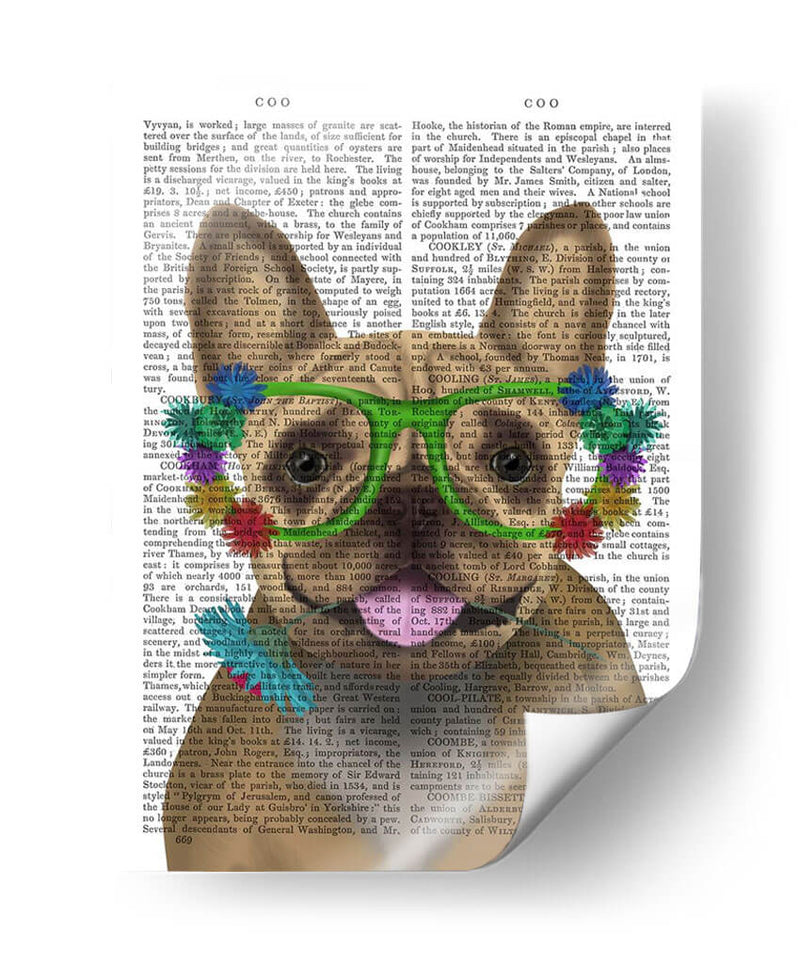Bulldog Francés Y Gafas De Flores. - Fab Funky | Cuadro decorativo de Canvas Lab